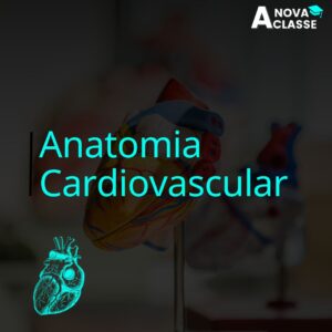 Anatomia Cardiovascular
