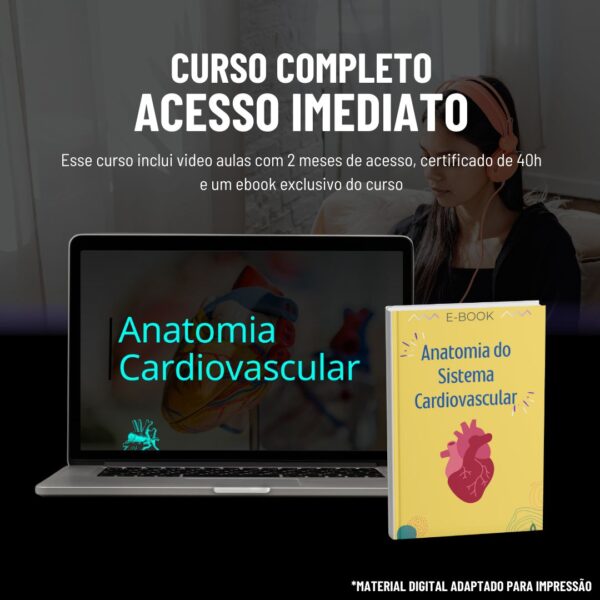 Anatomia Cardiovascular - Imagem 2