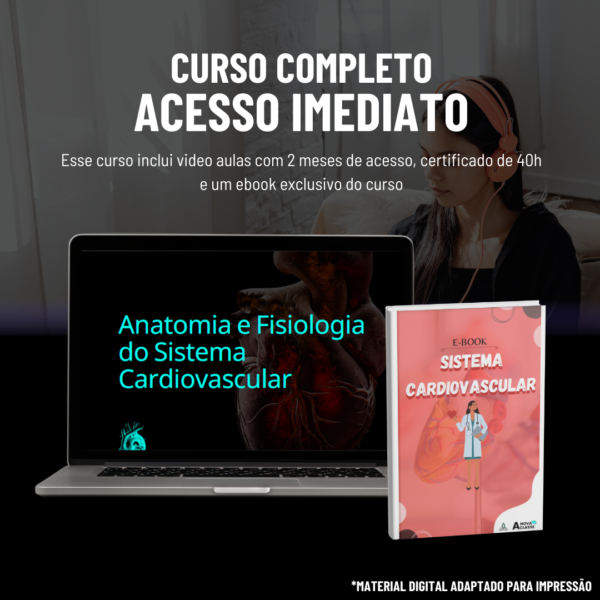 Anatomia e Fisiologia do Sistema Cardiovascular - Imagem 2