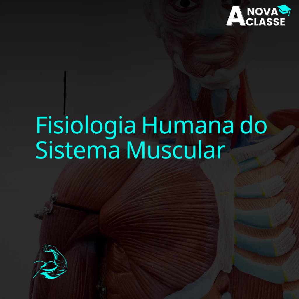Fisiologia Humana do Sistema Muscular