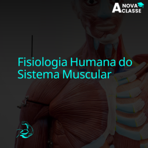 Fisiologia Humana do Sistema Muscular
