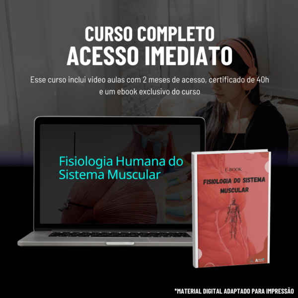 Fisiologia Humana do Sistema Muscular - Imagem 2