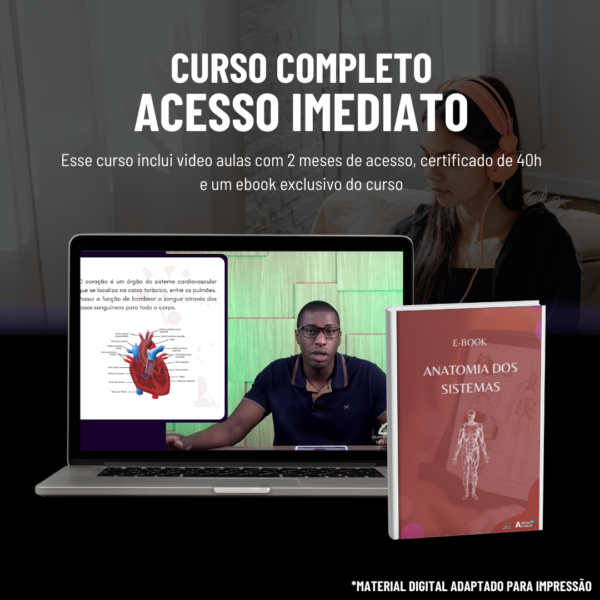 Anatomia dos Sistemas - Imagem 2