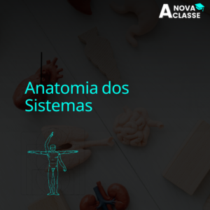 Anatomia dos Sistemas