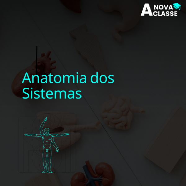 Anatomia dos Sistemas