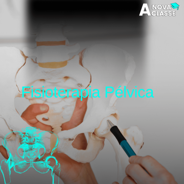Fisioterapia Pélvica