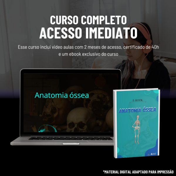 Anatomia óssea - Imagem 2
