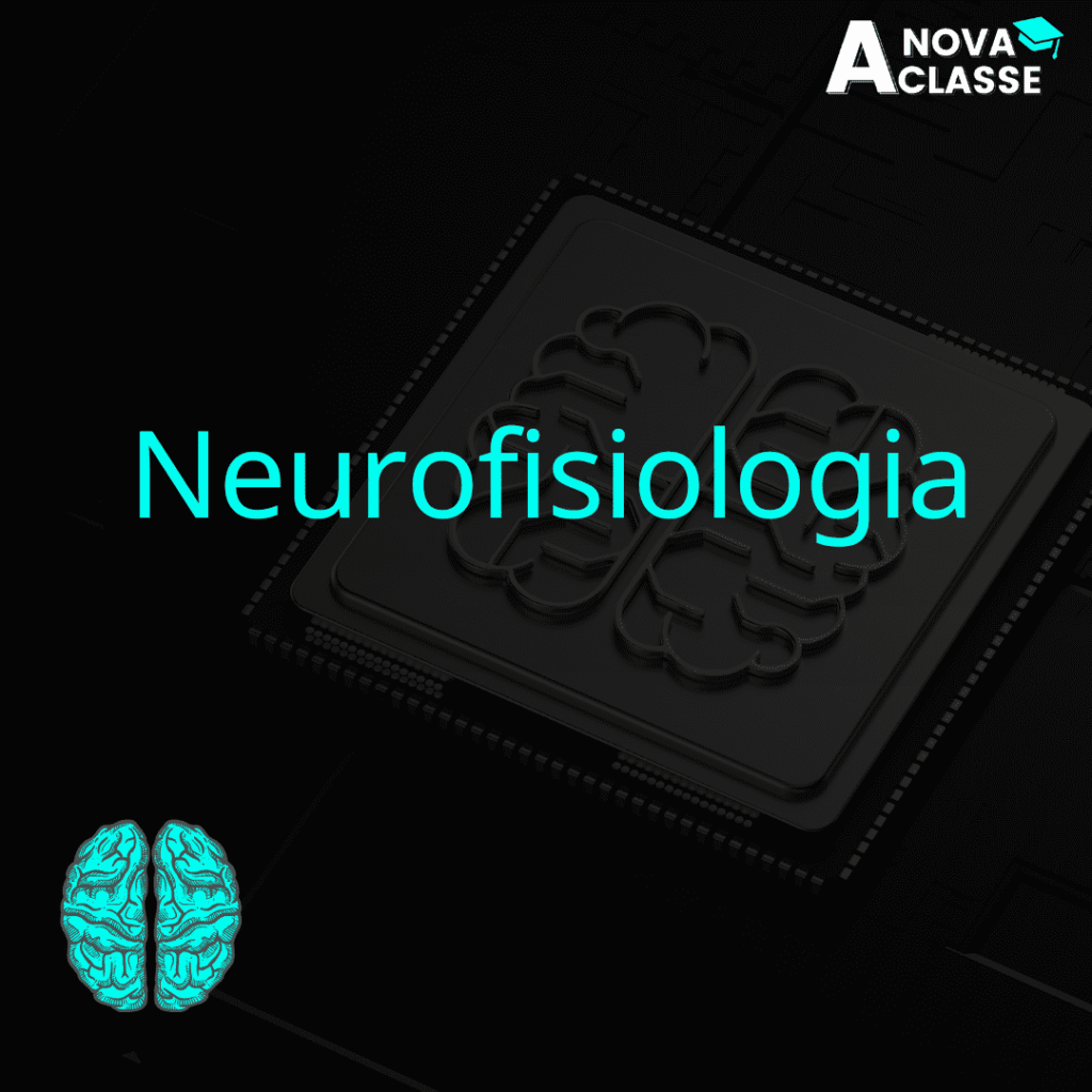 Neurofisiologia