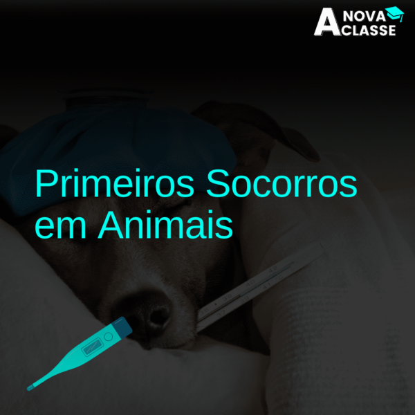 Primeiros Socorros em Animais