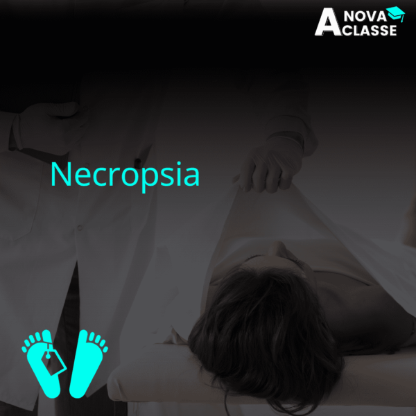 Necropsia