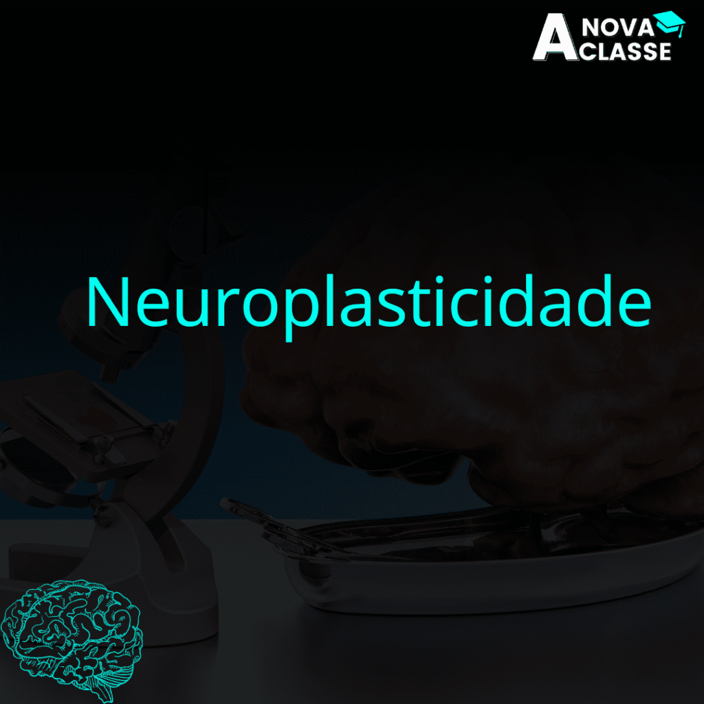 Neuroplasticidade