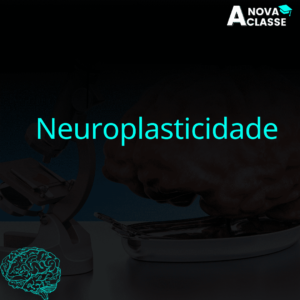 Neuroplasticidade