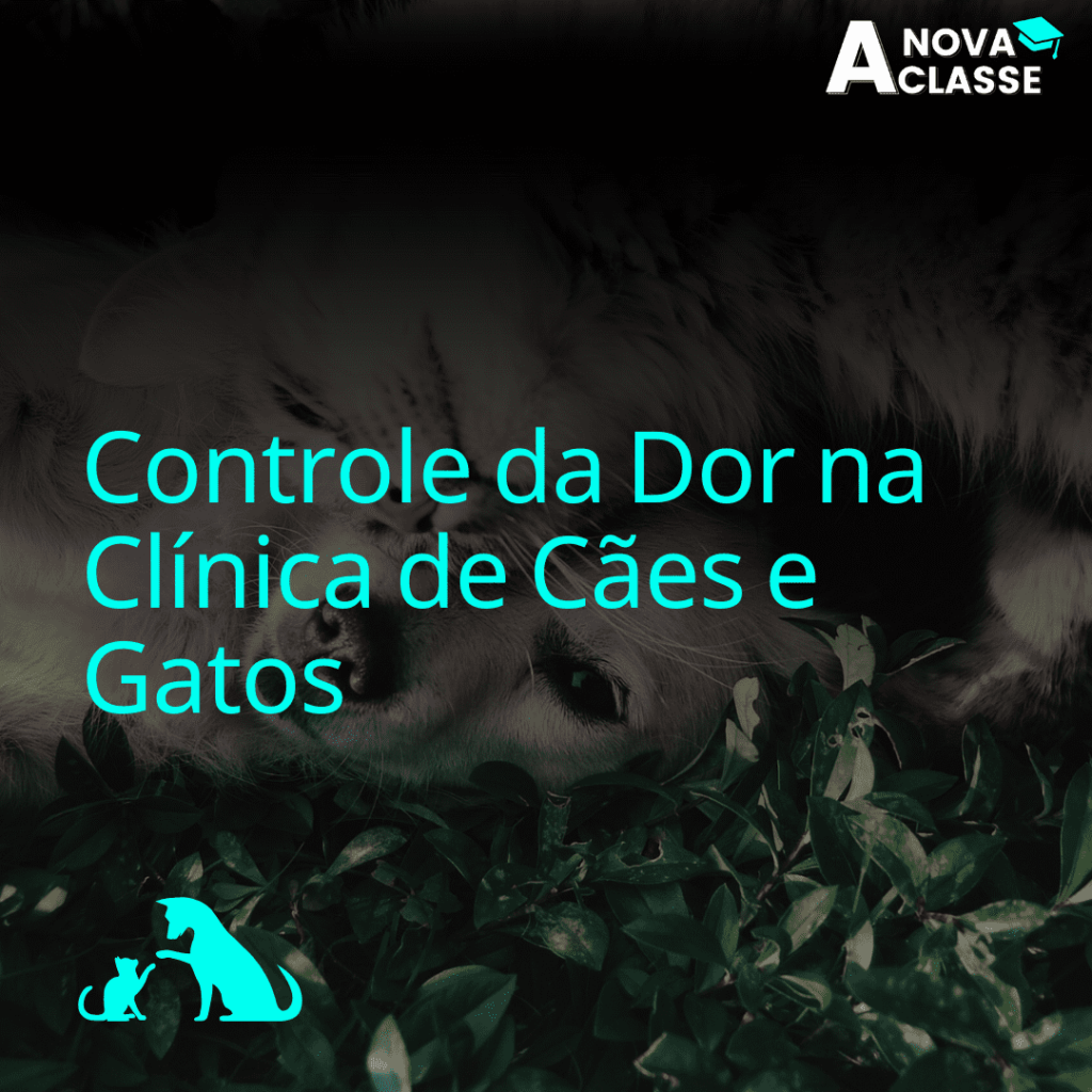 Controle de Dor na Clínica de Cães e Gatos