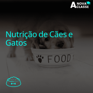 Nutrição de Cães e Gatos