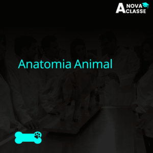 Anatomia Animal