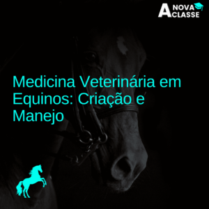 Medicina Veterinária em Equinos: Criação e Manejo