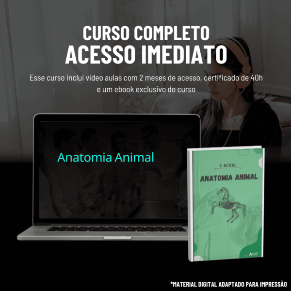 Anatomia Animal - Imagem 2