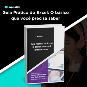 Apostila Guia Prático do Excel: O básico que você precisa saber
